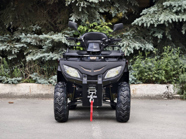 Квадроцикл RATO (Рато) CABO 250 LD (машинокомплект) | Мототека